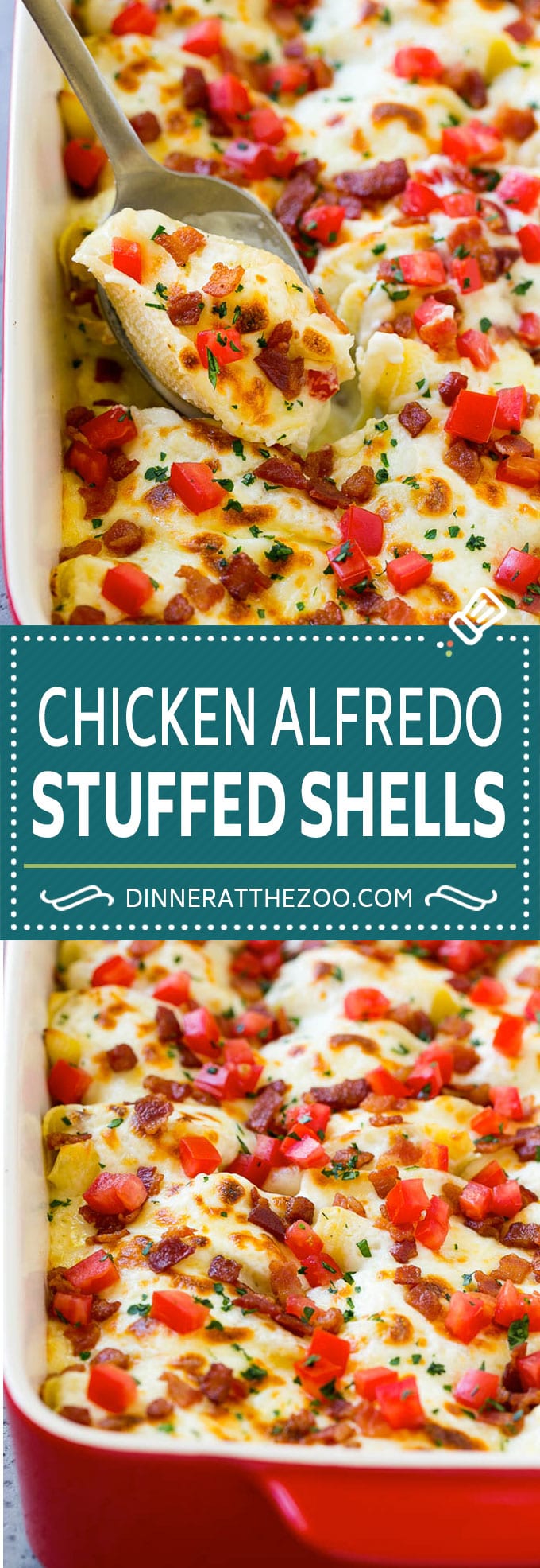 Chicken Alfredo Stuffed Shells Recipe | Stuffed Shells | Chicken Stuffed Shells | Baked Pasta #stuffedshells #alfredo #chicken #pasta #cheese #dinner #jonep