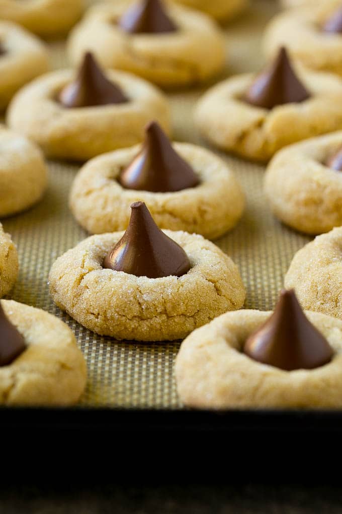 Peanut Butter Blossoms Recipe | Hershey Kiss Cookies | Chocolate Peanut Butter Cookies #cookies #peanutbutter #chocolate #dessert #baking #christmas #christmascookies #jonep Baked peanut butter blossom cookies on a sheet pan.