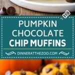 Pumpkin Chocolate Chip Muffins Recipe | Pumpkin Muffins | Chocolate Pumpkin Muffins #muffins #pumpkin #fall #chocolate #dessert #snack #jonep