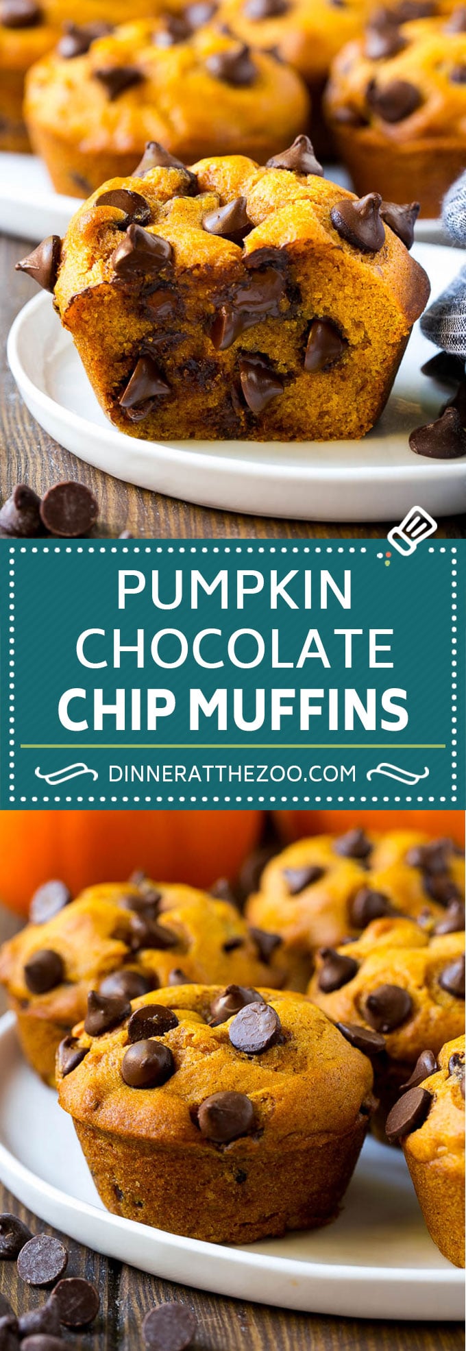 Pumpkin Chocolate Chip Muffins Recipe | Pumpkin Muffins | Chocolate Pumpkin Muffins #muffins #pumpkin #fall #chocolate #dessert #snack #jonep