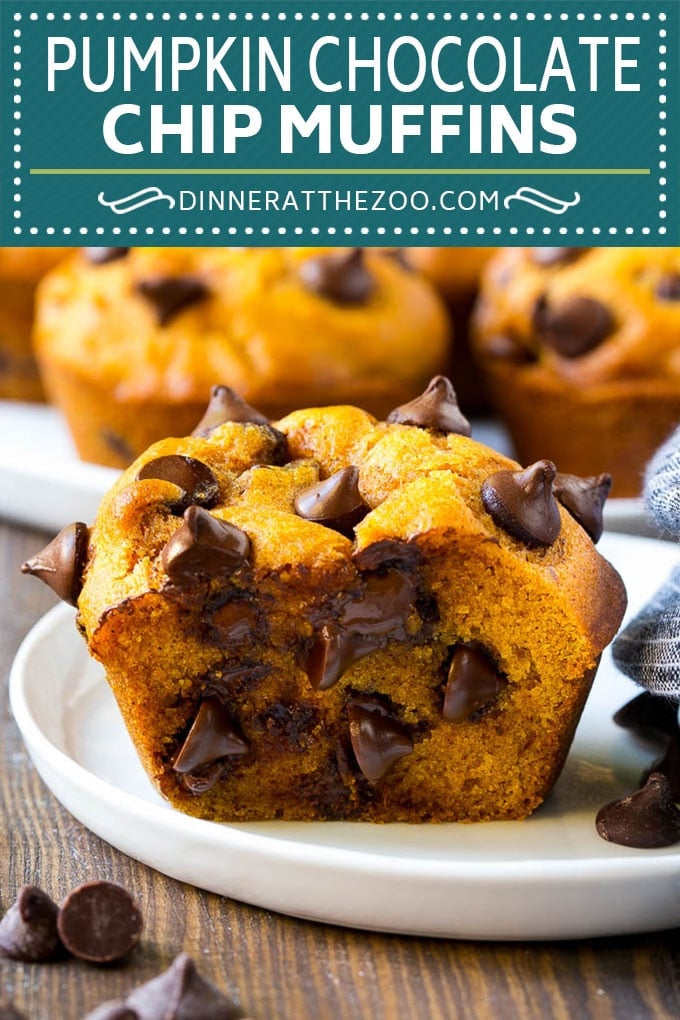 Pumpkin Chocolate Chip Muffins Recipe | Pumpkin Muffins | Chocolate Pumpkin Muffins #muffins #pumpkin #fall #chocolate #dessert #snack #jonep