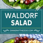 Waldorf Salad Recipe | Apple Salad | Fruit Salad #salad #fruit #apples #grapes #lunch #jonep #glutenfree