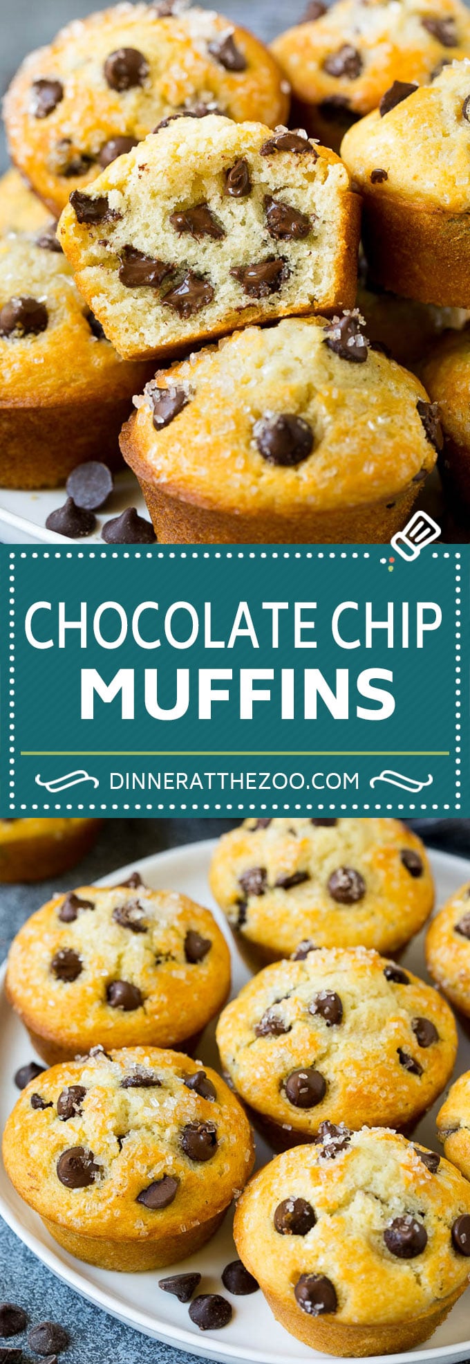 Chocolate Chip Muffins | Easy Muffin Recipe #chocolate #muffins #baking #breakfast #snack #jonep