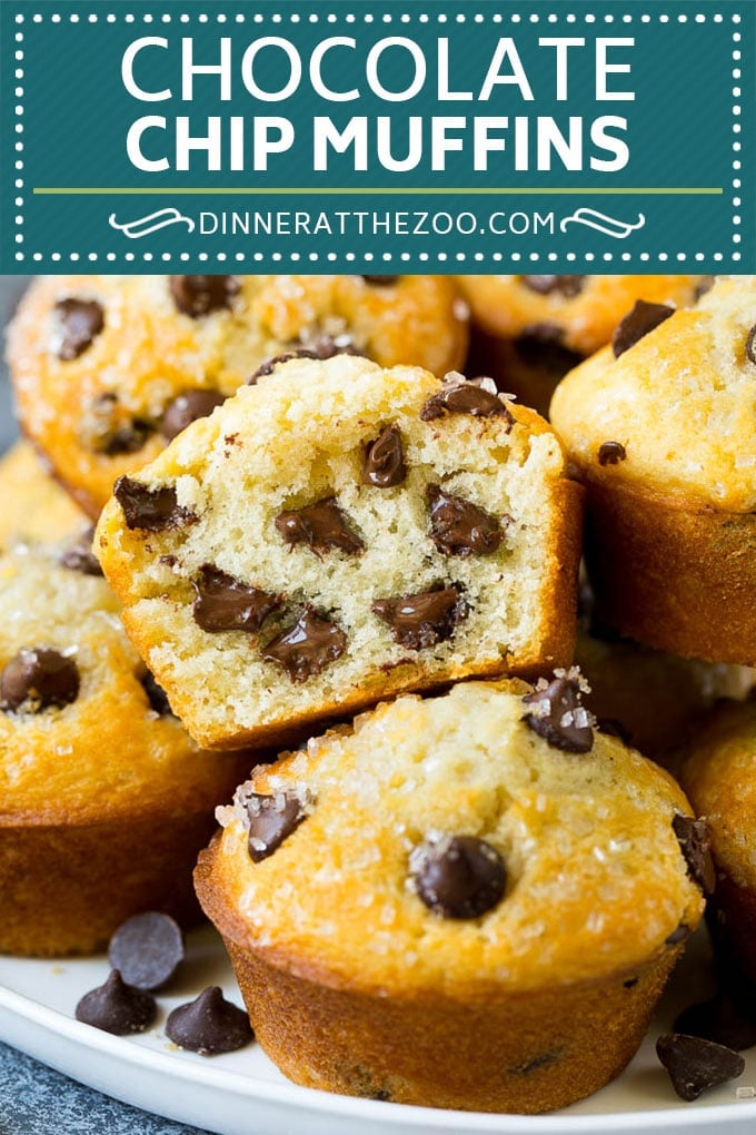 Chocolate Chip Muffins | Easy Muffin Recipe #chocolate #muffins #baking #breakfast #snack #jonep