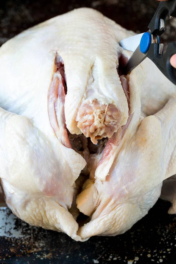 Spatchcock Turkey | Roasted Turkey | Thanksgiving Turkey #turkey #thanksgiving #dinner #fall #christmas #jonep A scissors cutting the back bone out.