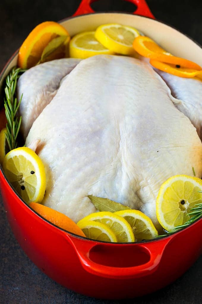 Thanksgiving Turkey Recipe | Roasted Turkey #turkey #thanksgiving #fall #dinner #jonep A turkey in a pot of brine.