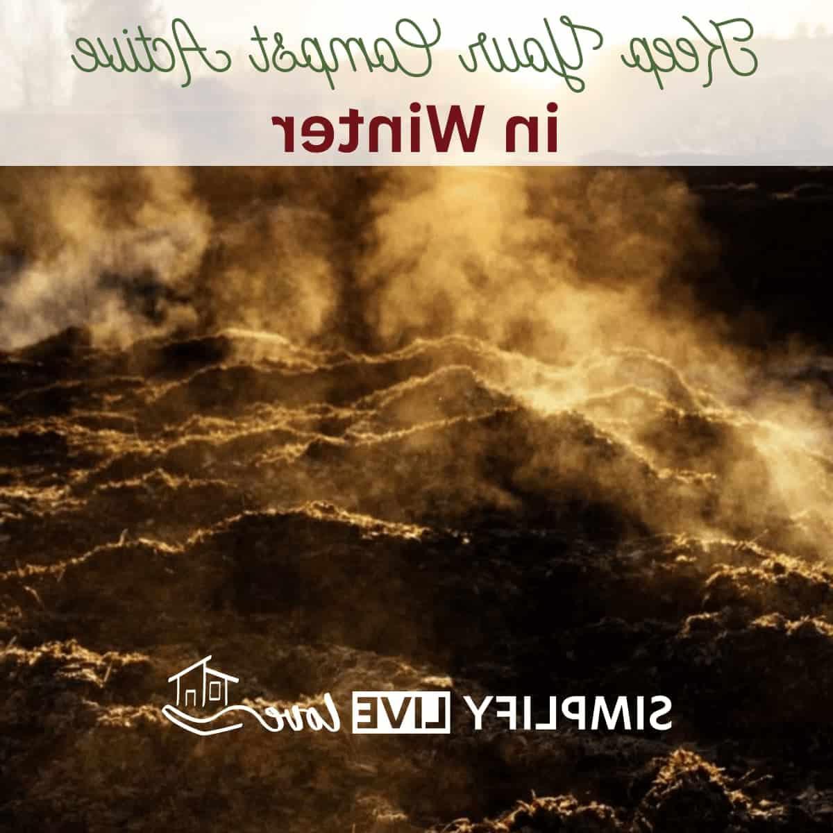futured 1 368