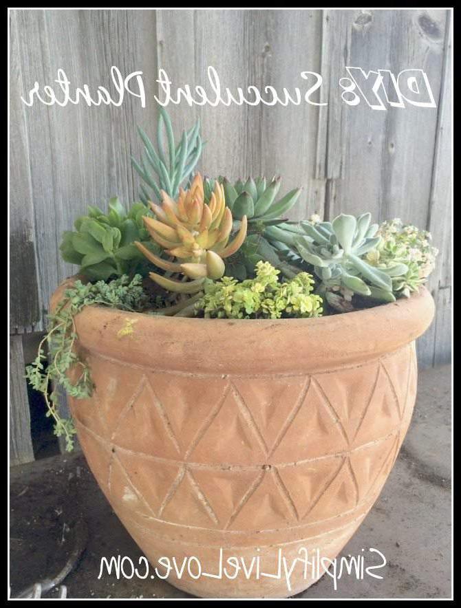 Vetplant Planter DIY