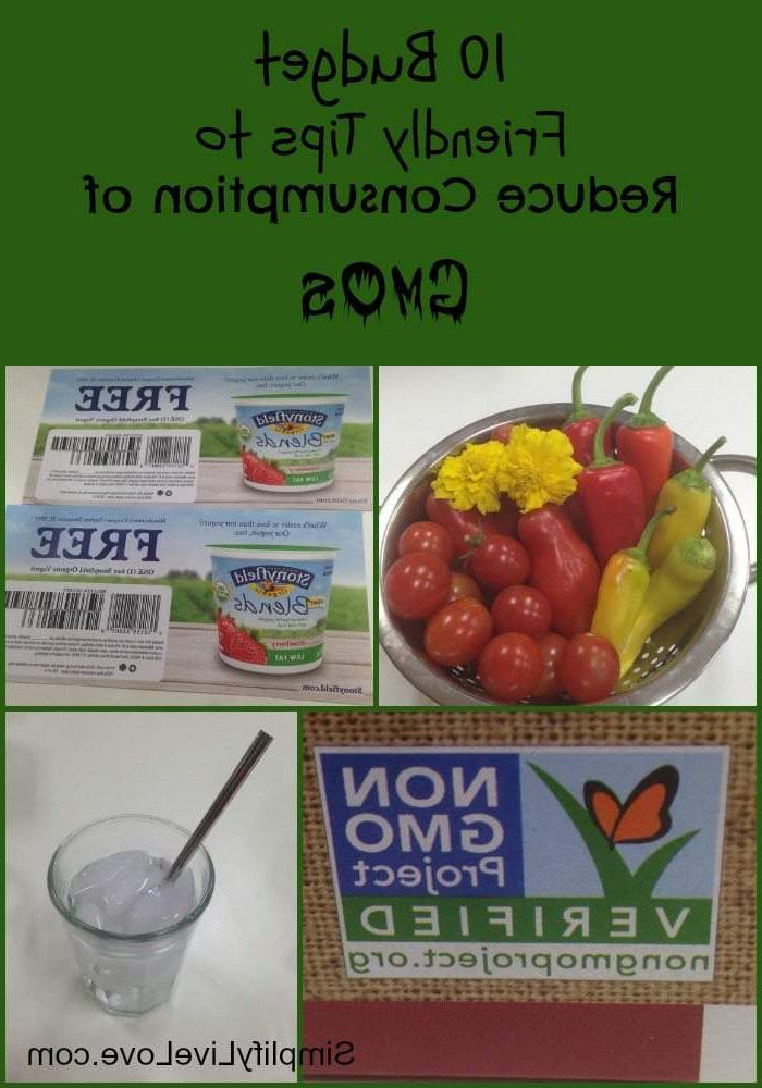 Οικονομικές Συμβουλές για τη Μείωση της Κατανάλωσης ΓΤΟ