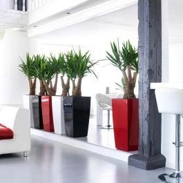 Lechuza Cubico Tall Square Planter Pot: Κομψότητα και πρακτικότητα