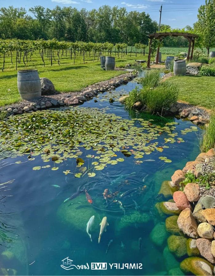 7 Maniere om Iowa se Landboutoerisme in DeWitt, Iowa, te bevorder 12 koi pond at tycogao winery