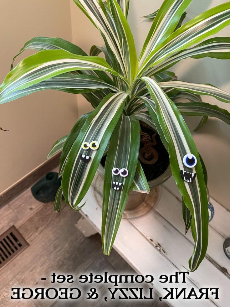 Monster Magnets for Plants: Προσθέστε χιούμορ στις γλάστρες