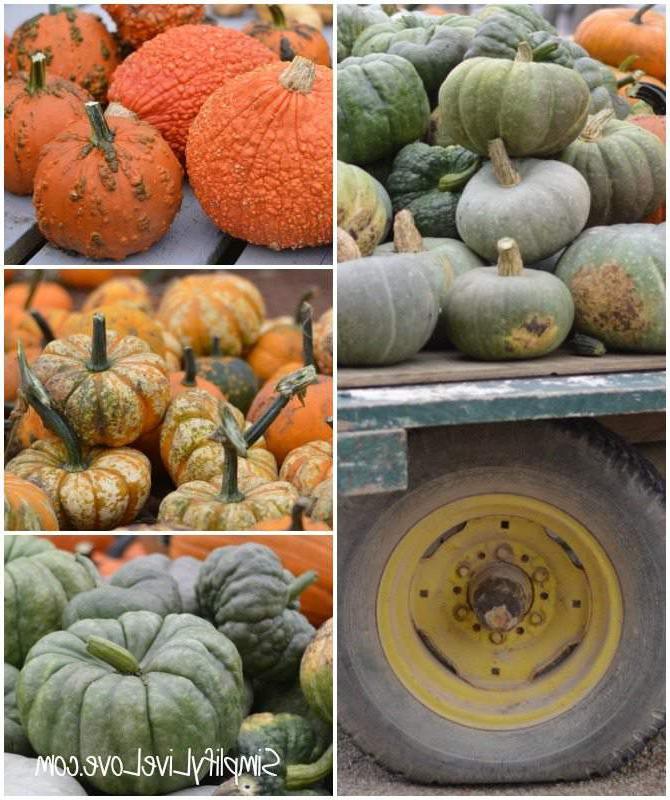 Harriman Nielsen Historic Farm Fall Festival - #FranklinCoHarvest