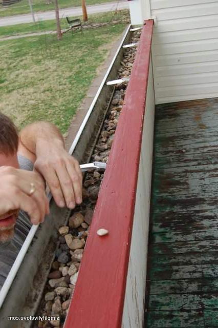 Geut Slaai Tuin op heining