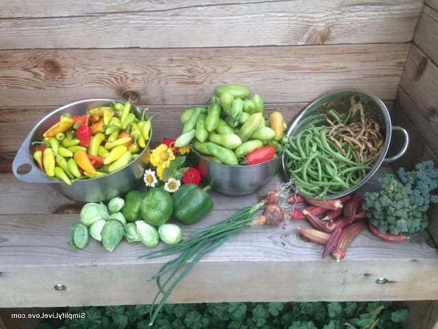 laaste tuin oes bakke vol einde van seisoen groente