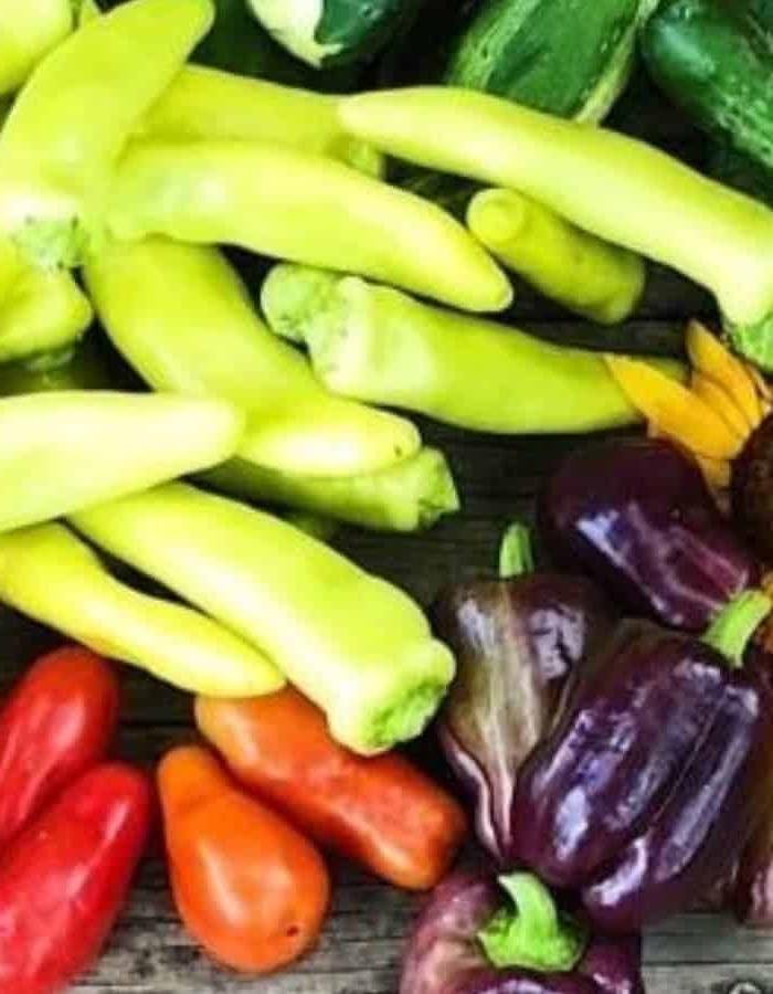 Hoe om Rissies te Kweek van Saad tot Oes 3 pepper bounty from my garden