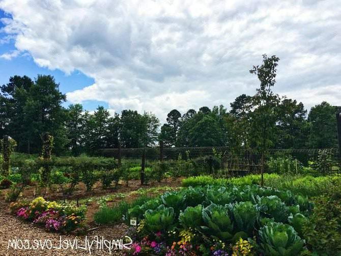 P. Allen Smith's Moss Mountain Farm Garden
