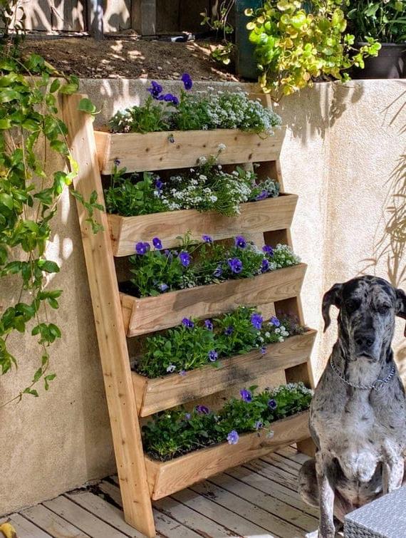 Vertikale Lewende Muur Sederhout Leerplanter