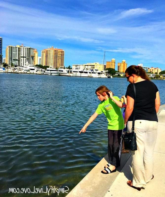 Περιπατώντας στο Bayfront Park της Σαρασότα, ανάμεσα σε πράσινο και θέα στη θάλασσα.