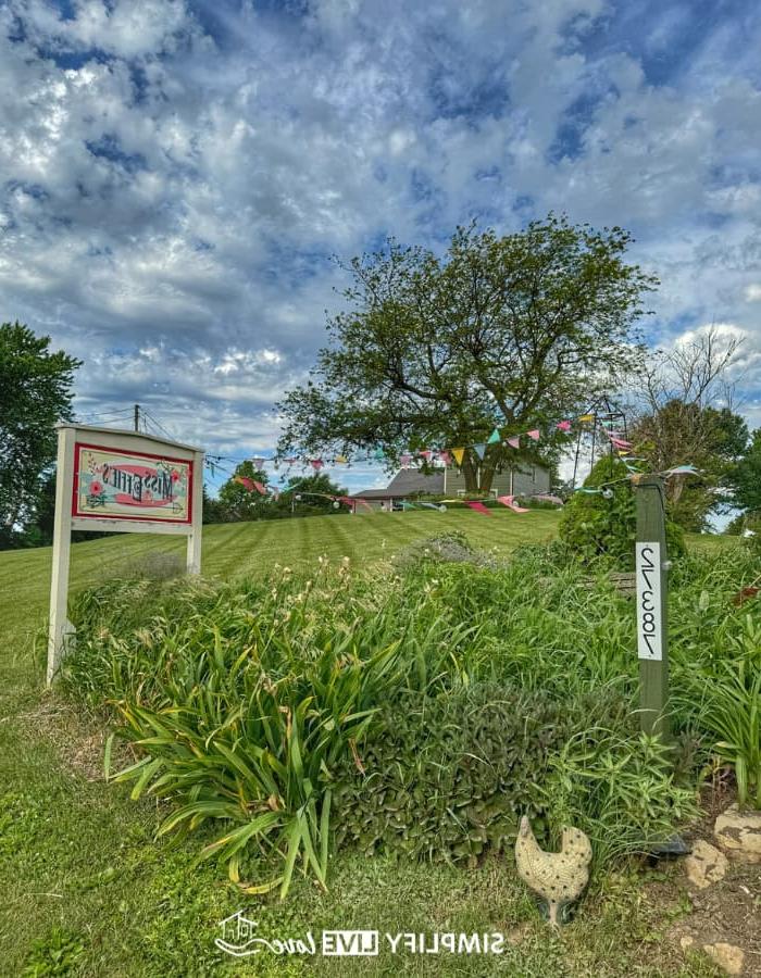 7 Maniere om Iowa se Landboutoerisme in DeWitt, Iowa, te bevorder 5 miss effie's flower farm