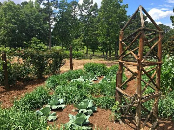 simple wooden support structure at Moss Mountain Farm