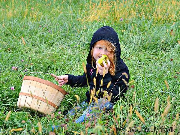Κορίτσι που τρώει ένα μήλο στο Wilson's Apple Orchard, Iowa City