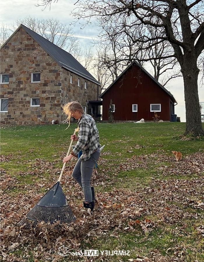 5 Geniale Maniere om Herfsblare as Gratis Tuin Deklaag te Gebruik 6 blare hark vir blaardeklaag (1)