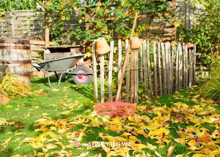 Top 7 Herfsgroente om te plant vir 'n oorvloedige oes 6 rake and empty pots on fence with fall leaves in foreground