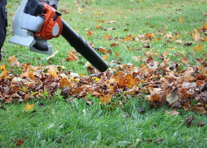 5 Geniale Maniere om Herfsblare as Gratis Tuin Deklaag te Gebruik 7 blare blaas met 'n blaarblaser