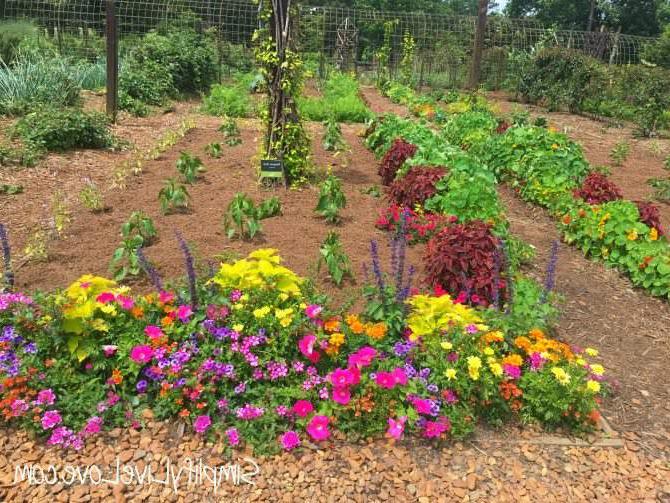 flowers everywhere at moss mountain farm