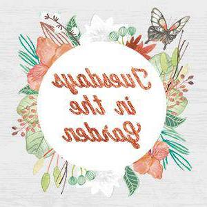 Dinsdae in die Tuin - 'n reeks plaas-tot-tafel resepte