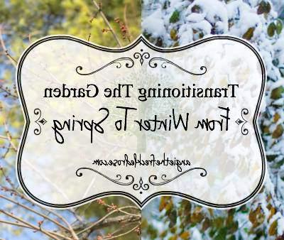 Noodsaaklike Metgeselplante vir Jou Groentetuin 8 The Freckled Rose, Tuesdays in the Garden