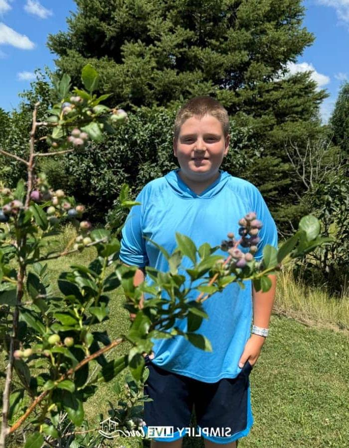 7 Maniere om Iowa se Landboutoerisme in DeWitt, Iowa, te bevorder 8 boy in front of blueberries at kerr berry farm (2)