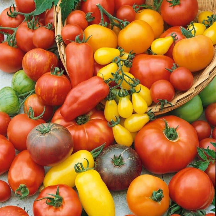 Vegetable Seeds by Eden Brothers: Για τον κήπο της μαμάς