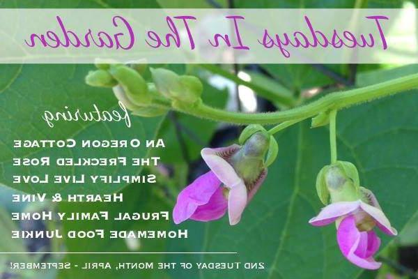 Η Αγαπημένη μου Σπιτική Σάλτσα για Βάζα – Πανεύκολα! 9 Τρίτες στον κήπο