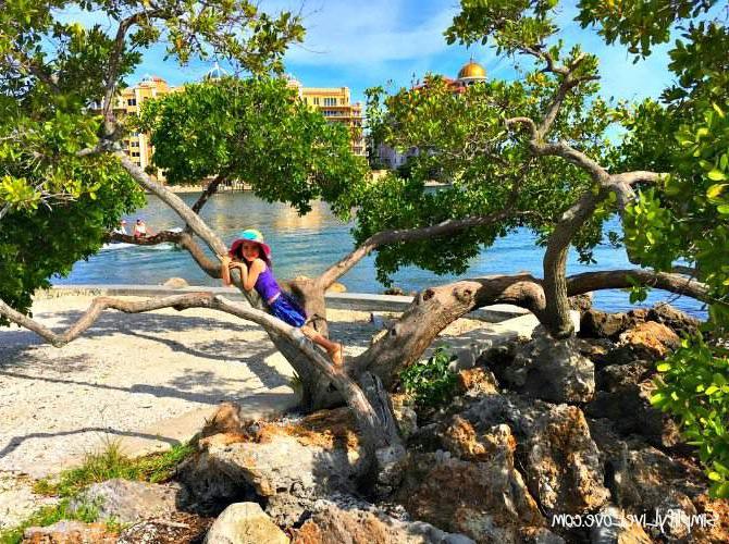 Φύση στο Bayfront Park, με δέντρα και γρασίδι.
