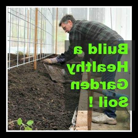 Noodsaaklike Metgeselplante vir Jou Groentetuin 10 Homemade Food Junkie