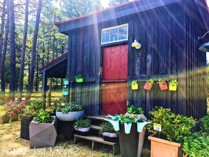garden shed at moss mountain farm