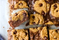 Chocolate Chip Brookie