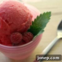 Delicious Raspberry Sorbet