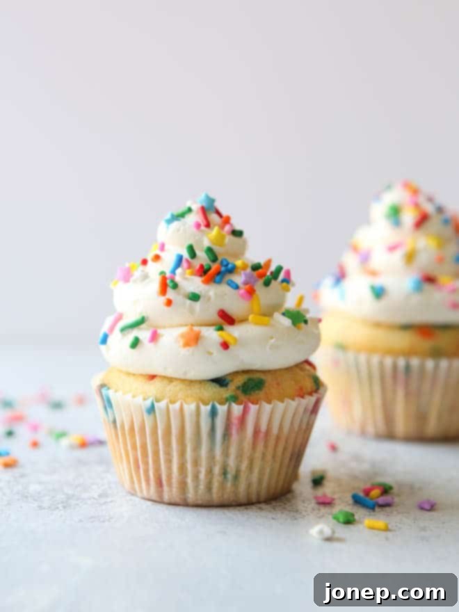 Two perfectly baked vanilla funfetti cupcakes, frosted and adorned with colorful sprinkles.