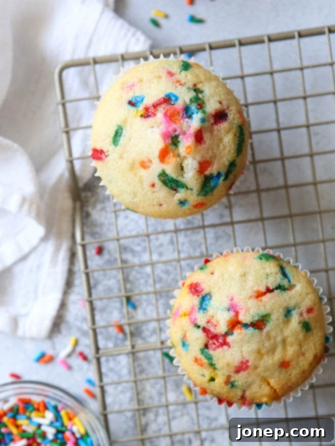A charming small batch of funfetti cupcakes, perfect for two, freshly baked and patiently awaiting their delicious frosting.