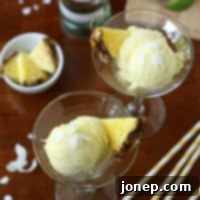 Thumbnail image of a scoop of Piña Colada Sherbet garnished with a pineapple slice.
