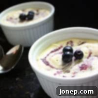 Chilled Blueberry Dream 2 Blueberry Semifreddo
