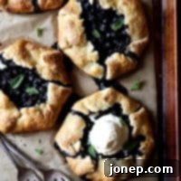 Homemade Mini Blueberry Galettes 2 Mini Blueberry Galettes | completelydelicious.com