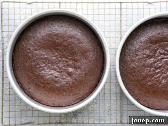 chocolate sour cream cakes out of the oven