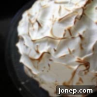 Arctic Fire Delight 2 Strawberry Baked Alaska with beautifully torched meringue peaks