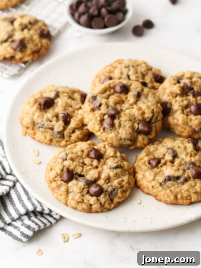 chocolate chip oatmeal cookies on a plate