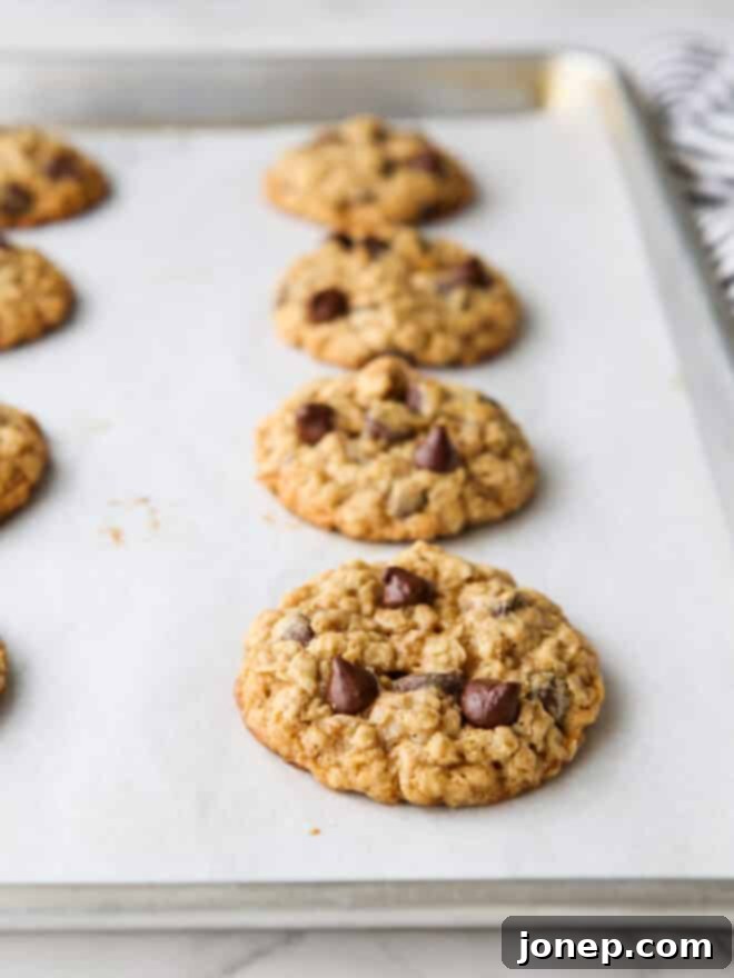 baked oatmeal chocolate chip cookies on a pan