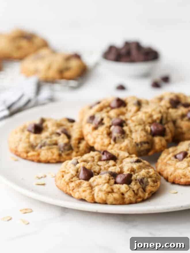 closeup of oatmeal chocolate chip cookies